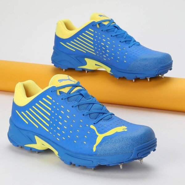 Spike 22.1 Cricket Shoes For Men(Blue)